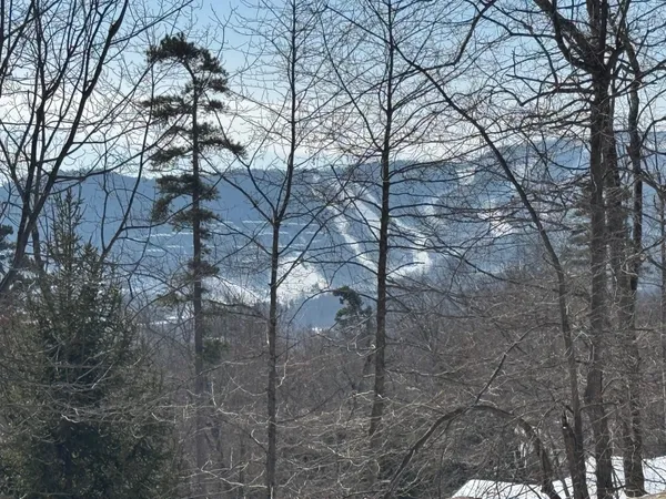 a backyard of a house