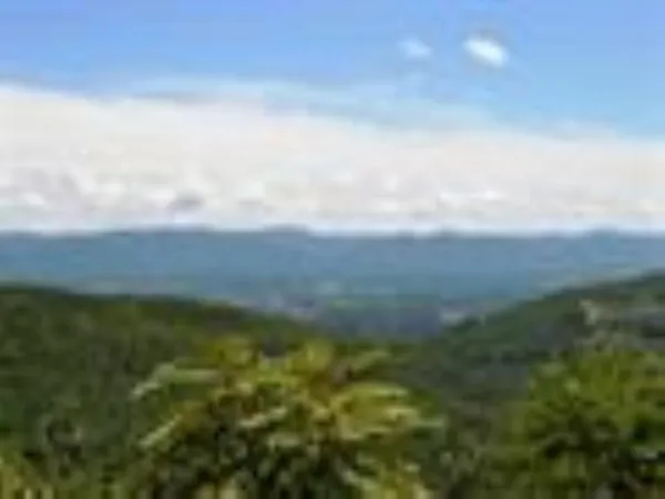 a view of a lake with a houses