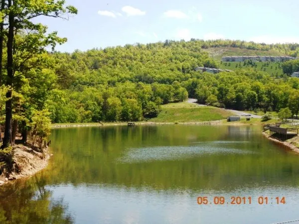 a view of a field with an trees