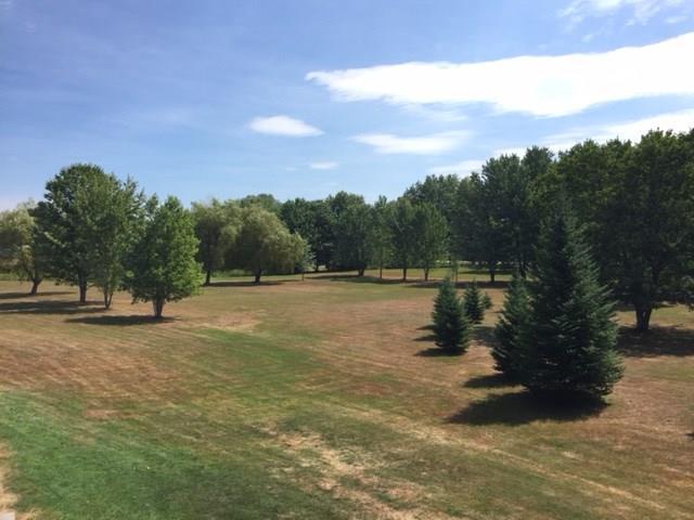 227 New County Road Saco, ME 04072 - Photo 8 of 29 Back yard