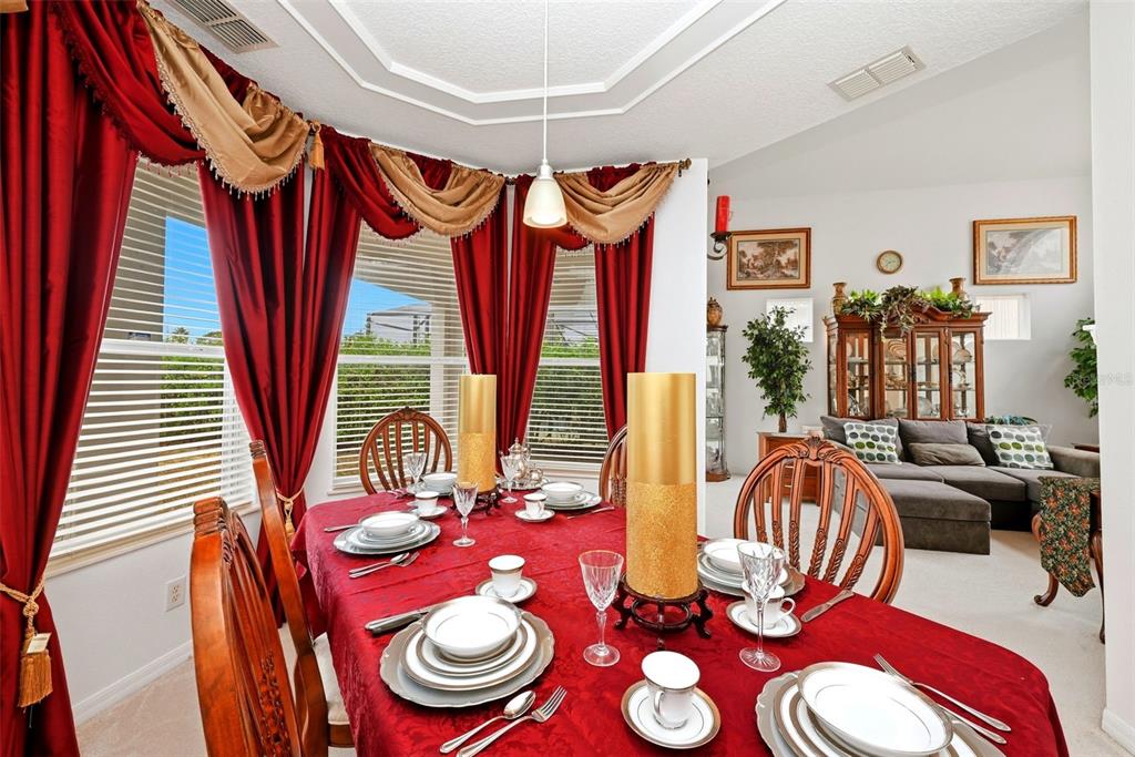 910 Lascala Drive Windermere, FL 34786 - Photo 12 of 54