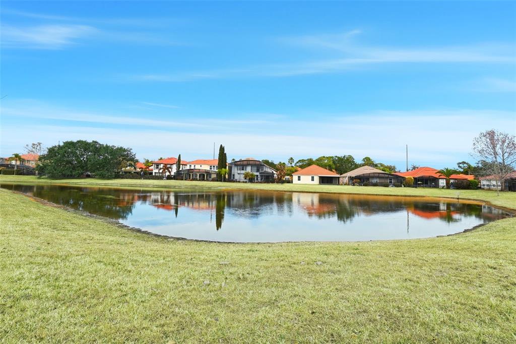 910 Lascala Drive Windermere, FL 34786 - Photo 44 of 54