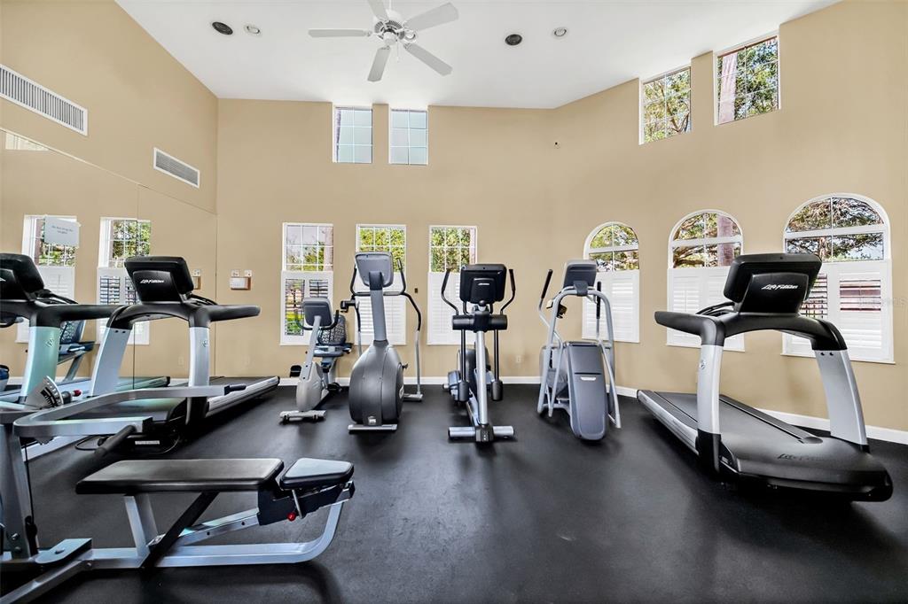 910 Lascala Drive Windermere, FL 34786 - Photo 50 of 54