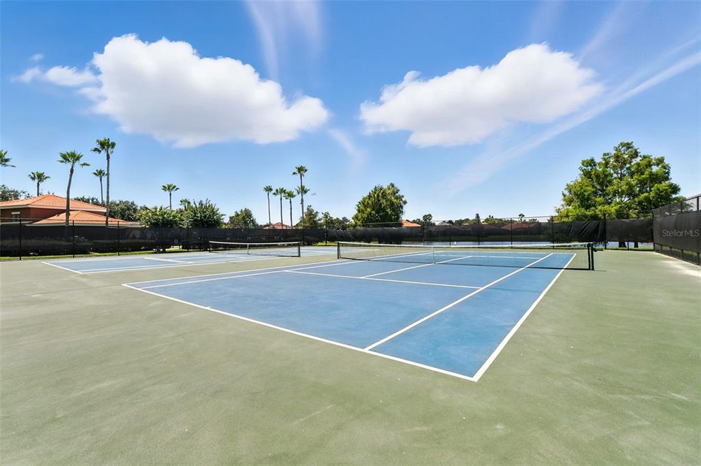 910 Lascala Drive Windermere, FL 34786 - Photo 51 of 54