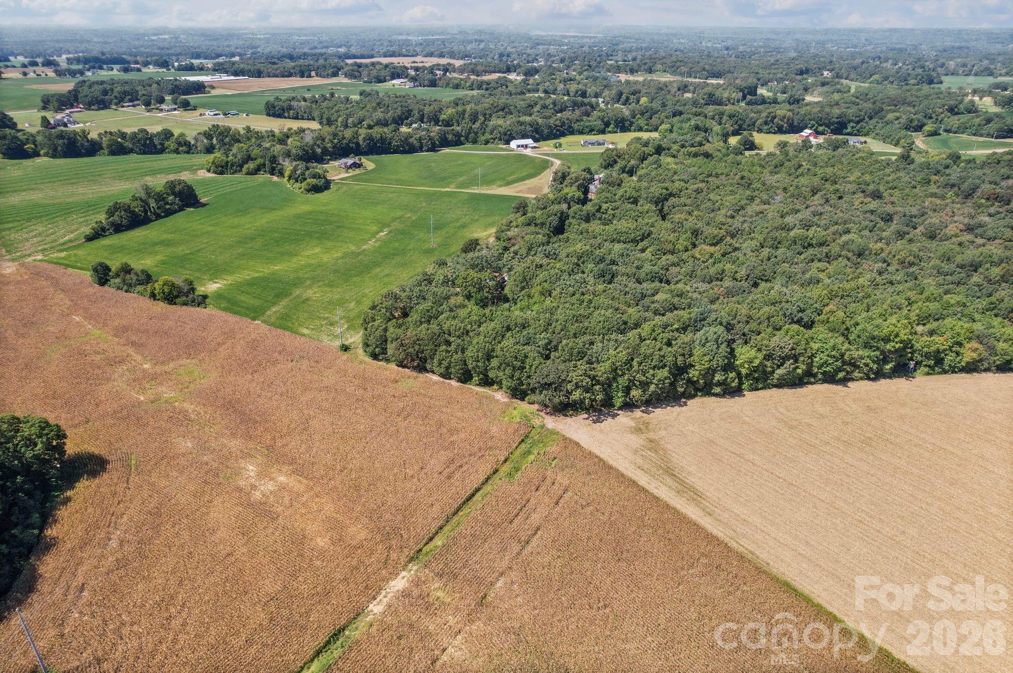 0 Country Wood Road Monroe, NC 28110 - Photo 3 of 9