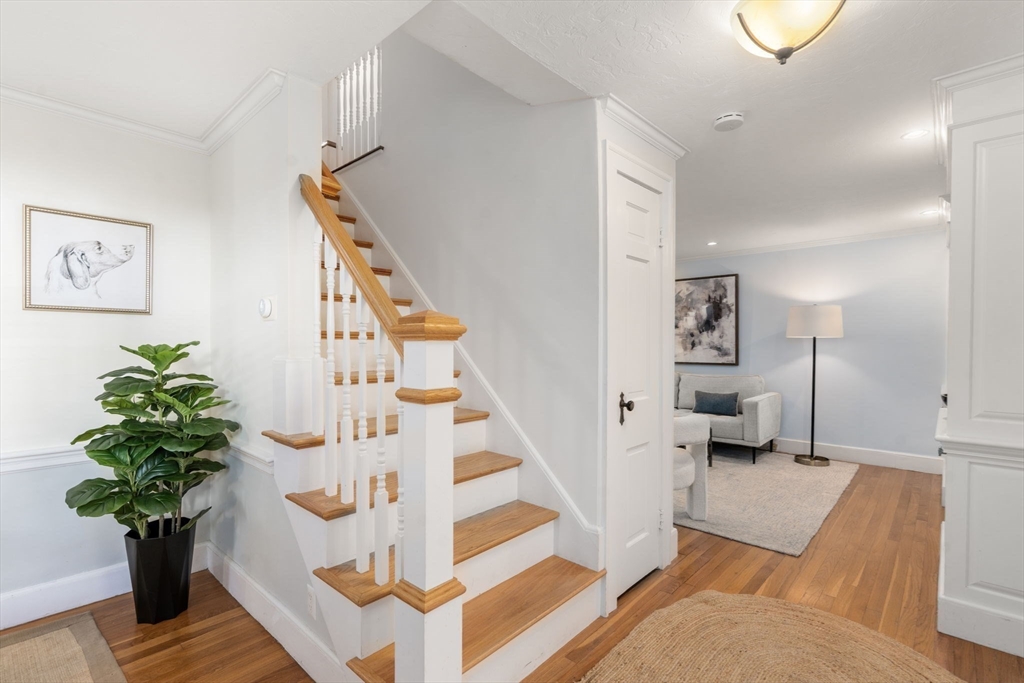 50 Hackensack Road Chestnut Hill, MA 02467 - Photo 22 of 34