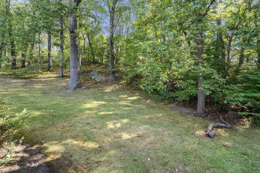 50 Hackensack Road Chestnut Hill, MA 02467 - Photo 25 of 34