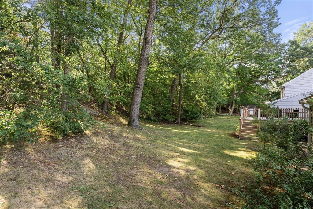 50 Hackensack Road Chestnut Hill, MA 02467 - Photo 29 of 34