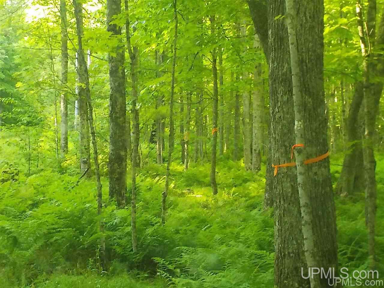 35-ac Sheltrow Road Crystal Falls, MI 49920 - Photo 23 of 23