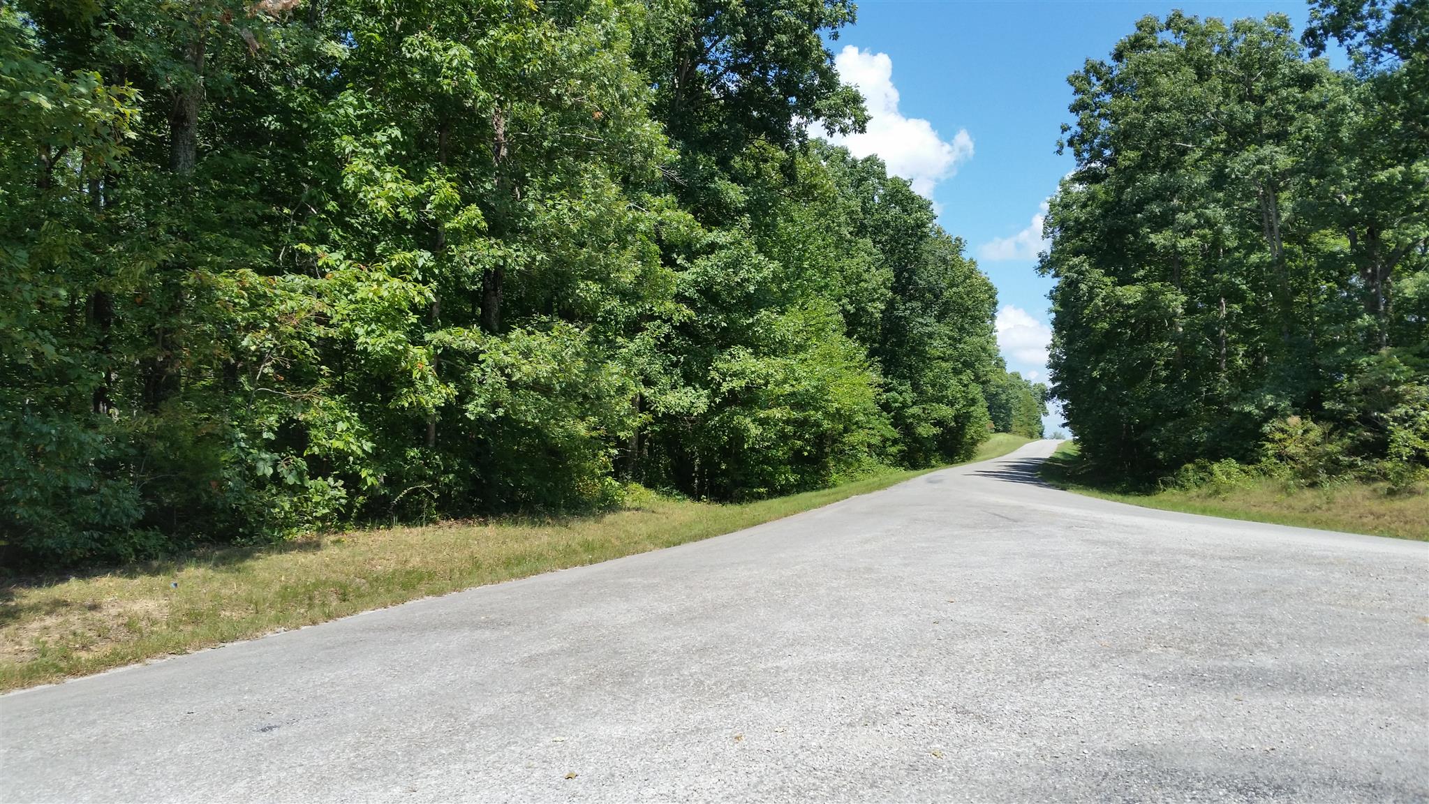 5 Calvin Potts Road Primm Springs, TN 38476 - Photo 3 of 12 Gallery Image 3