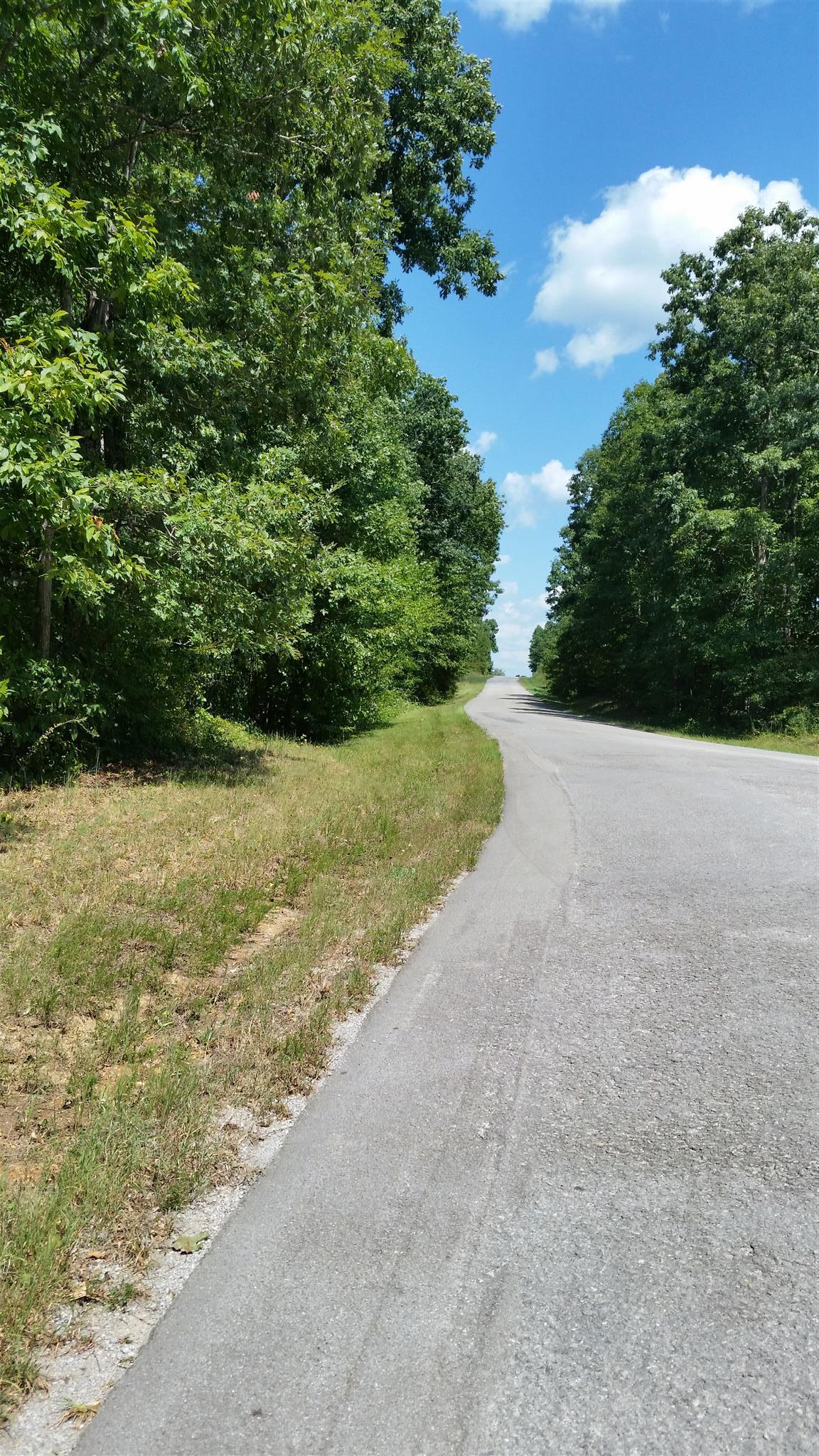 5 Calvin Potts Road Primm Springs, TN 38476 - Photo 8 of 12 Gallery Image 8