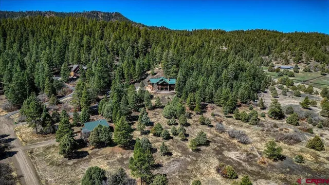a view of a city with lots of trees