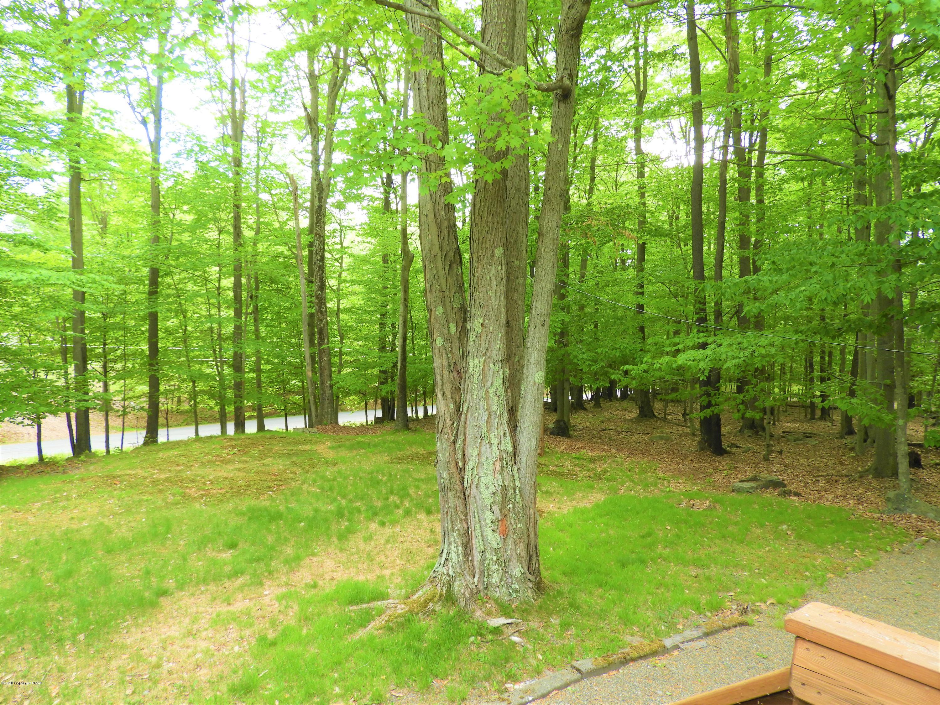 7 Ridge Road Gouldsboro, PA 18424 - Photo 9 of 41 DSCN0053