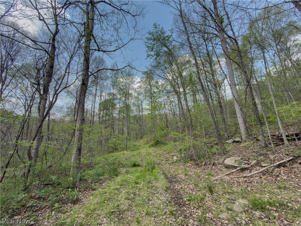 Beardmore Road Wingett Run, OH 45789 - Photo 38 of 43