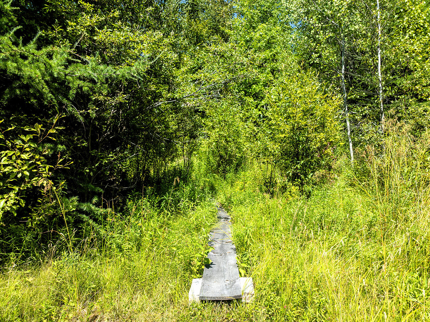455 Greeley Road Freedom, ME 04941 - Photo 34 of 37 DJI_0570