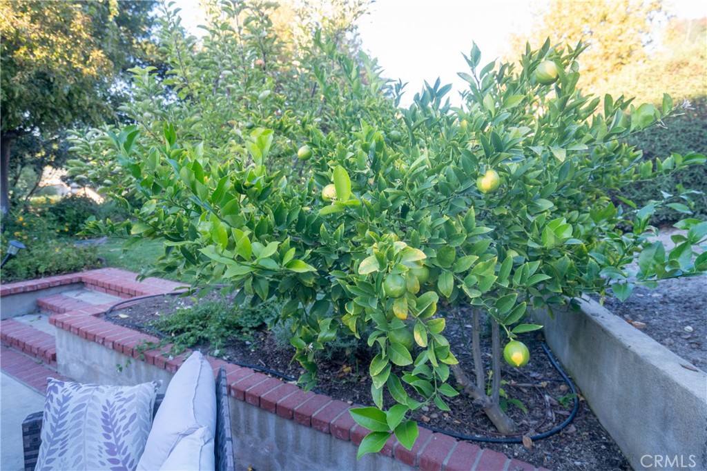 4125 Tranquilla Avenue Atascadero, CA 93422 - Photo 19 of 27 a view of a garden from a balcony