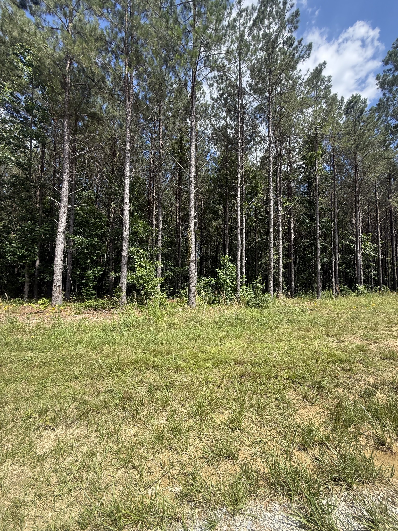 251 Fox Rdg Drive Linden, TN 37096 - Photo 6 of 18