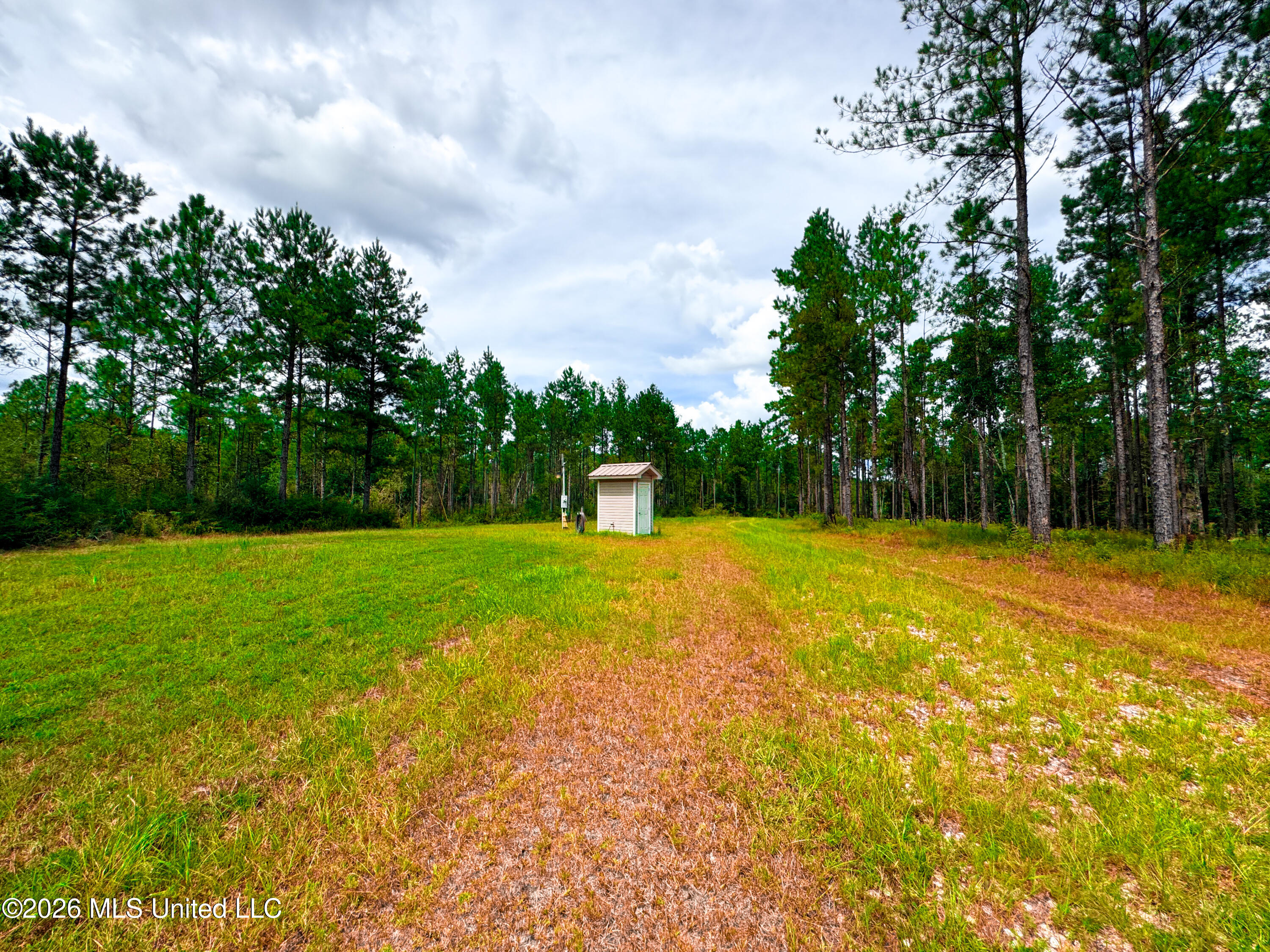 Wire Road Vancleave, MS 39565 - Photo 22 of 26 IMG_9988