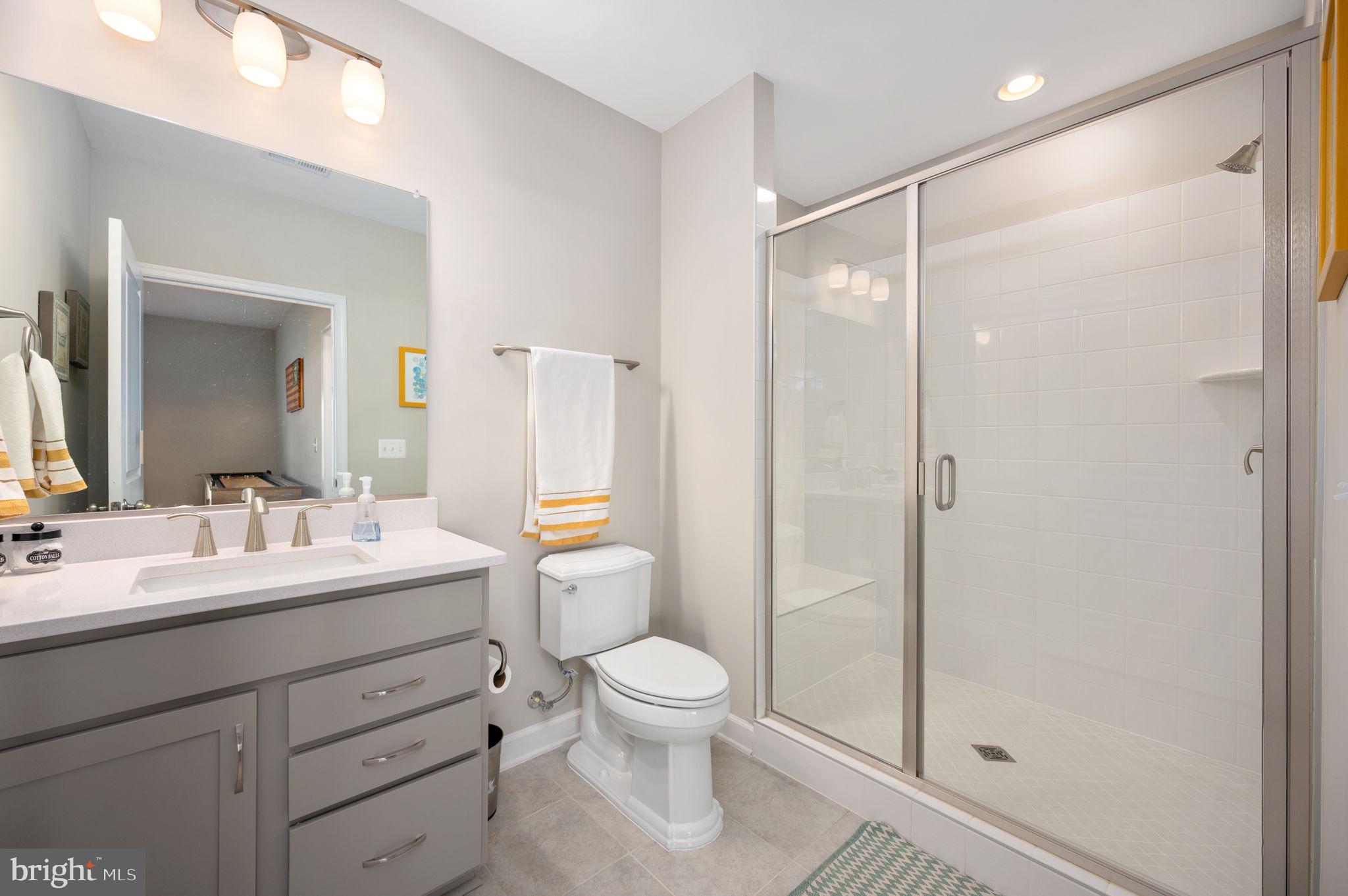 257 Rock Island Ridge Mineral, VA 23117 - Photo 101 of 128 a bathroom with a toilet a sink and a large mirror