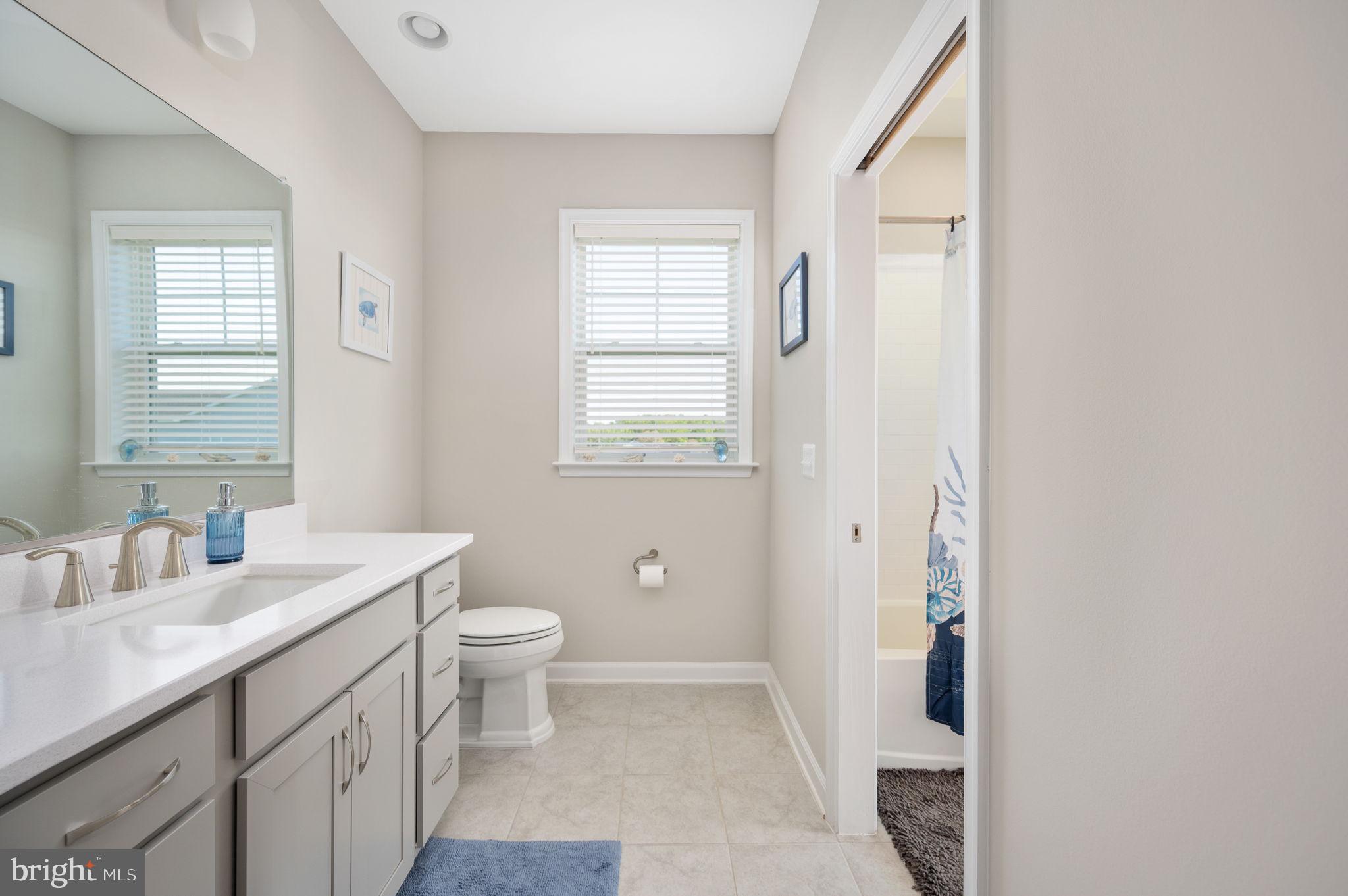 257 Rock Island Ridge Mineral, VA 23117 - Photo 70 of 128 a bathroom with a sink a toilet and a window