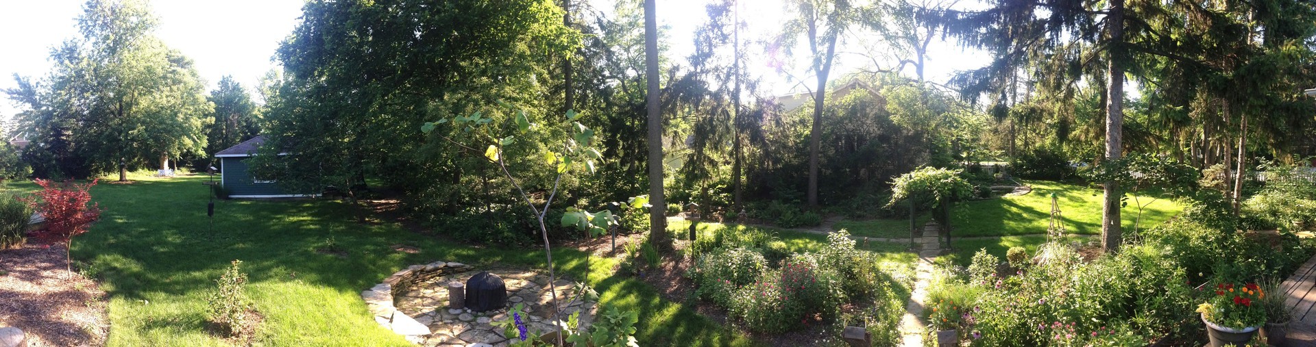 2105 Cedar Road Homewood, IL 60430 - Photo 17 of 23 a backyard of a house with lots of green space and trees all around