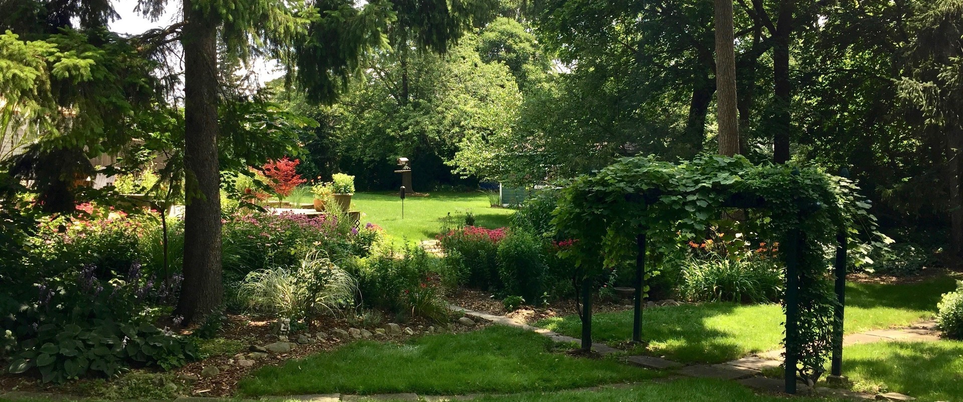 2105 Cedar Road Homewood, IL 60430 - Photo 19 of 23 a lush green forest with lots of trees