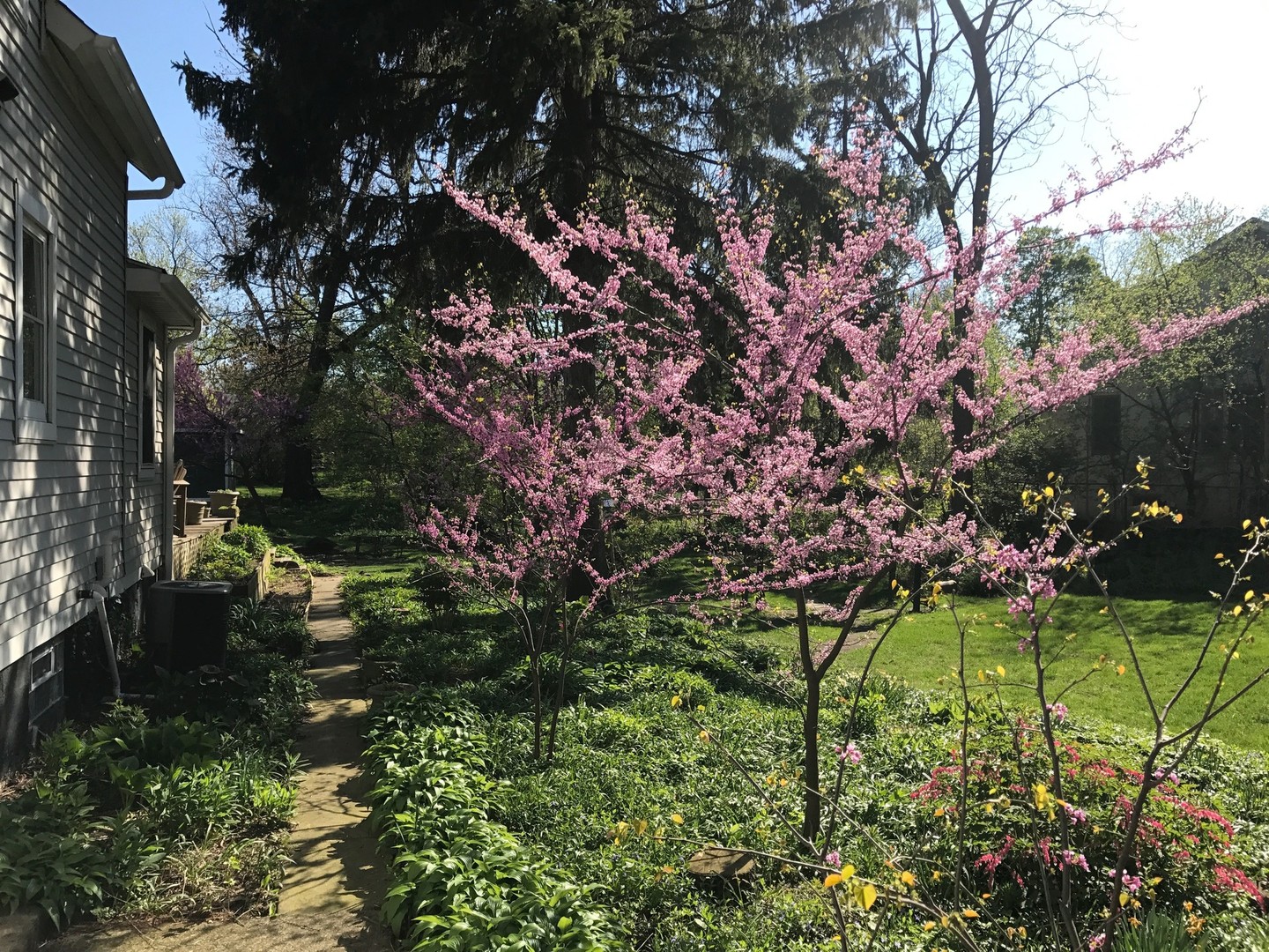2105 Cedar Road Homewood, IL 60430 - Photo 22 of 23 a view of a park