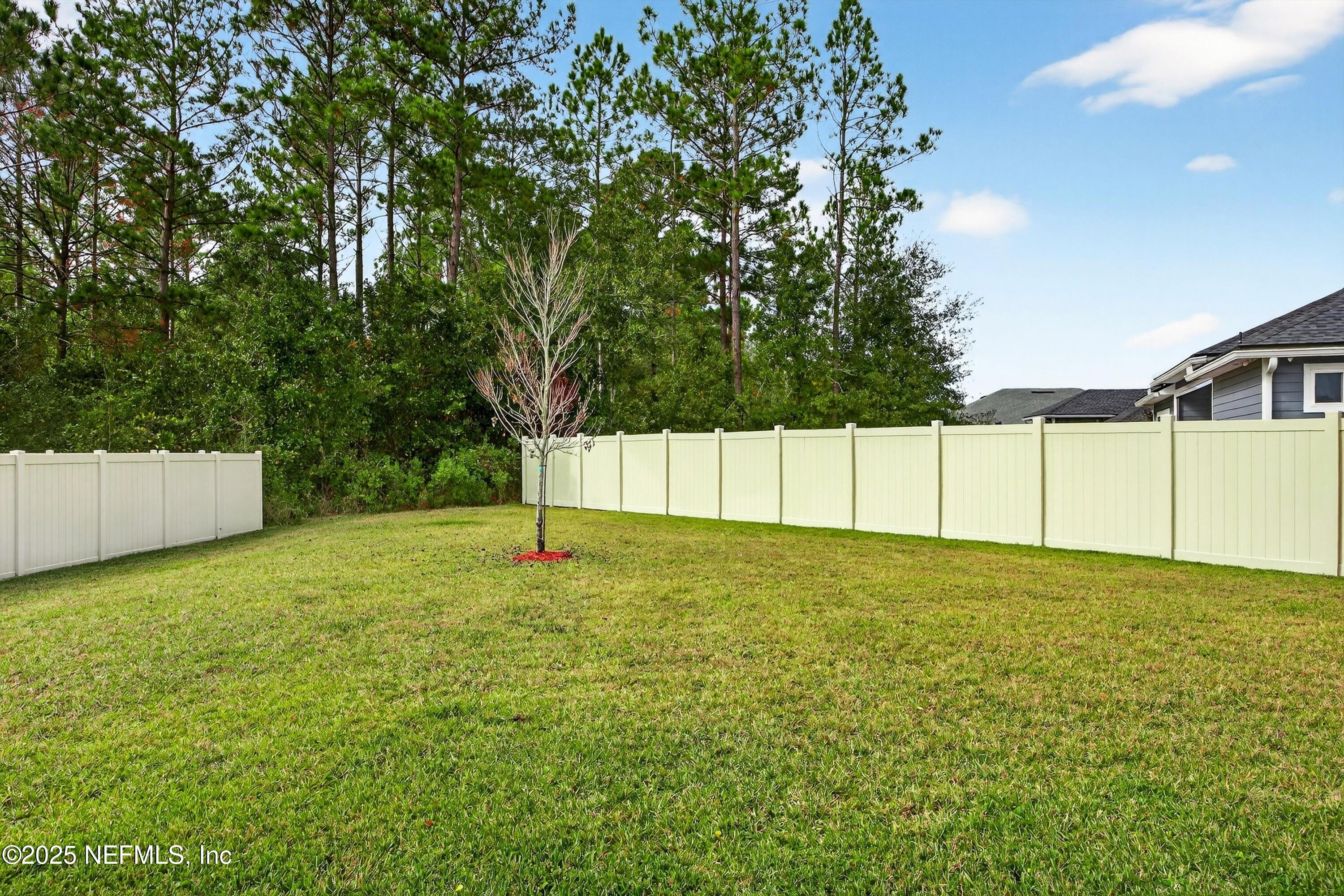 1733 Austin Lk Way Middleburg, FL 32068 - Photo 29 of 37 28-Backyard A2