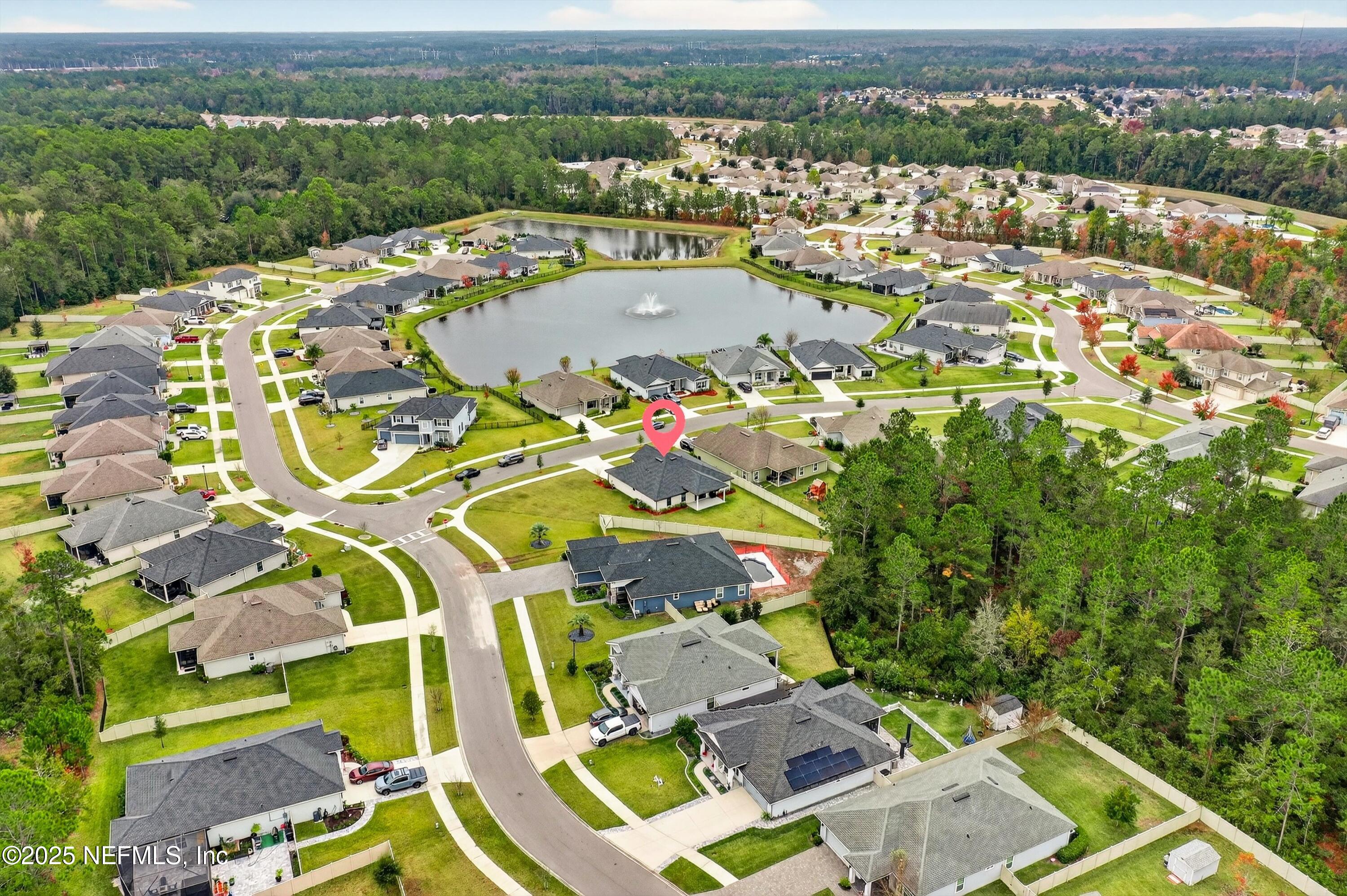 1733 Austin Lk Way Middleburg, FL 32068 - Photo 31 of 37 30-Aerial of Community