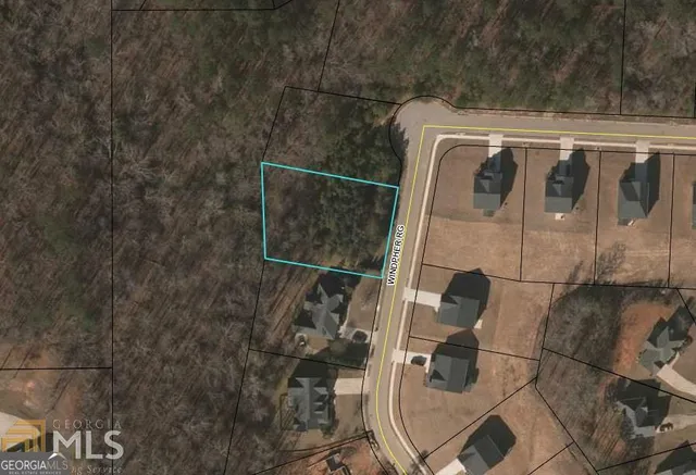 a picture of flowers