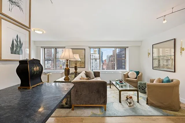 a living room with furniture rug and window