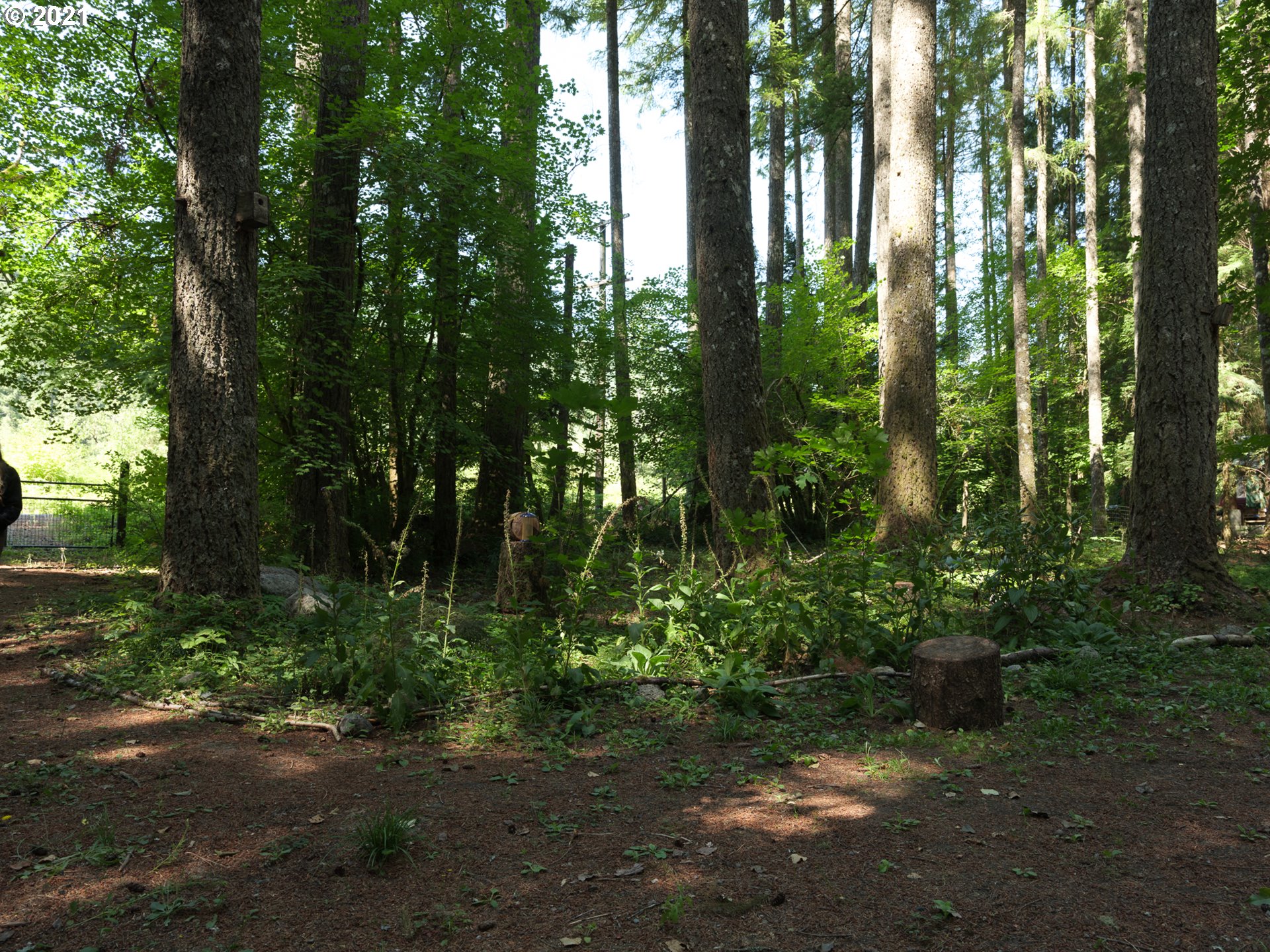 71635 East Minikahda Avenue Rhododendron, OR 97049 - Photo 32 of 32 Gallery Image 32