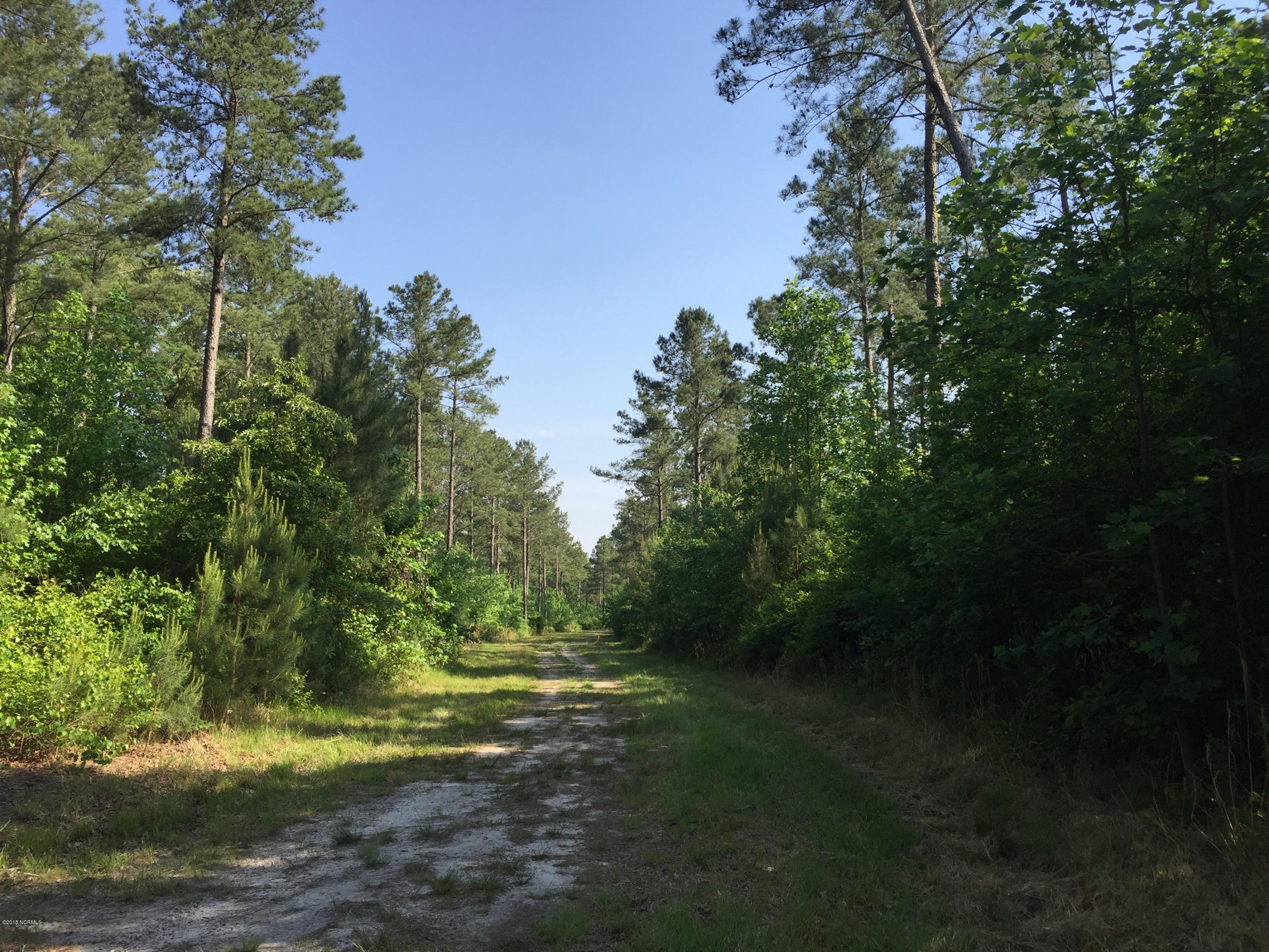 1875 Nash Road Farmville, NC 27828 - Photo 1 of 3 Beautiful wooded acreage