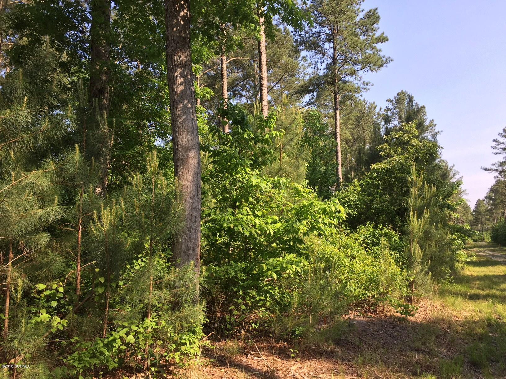 1875 Nash Road Farmville, NC 27828 - Photo 2 of 3 Partially cleared acreage