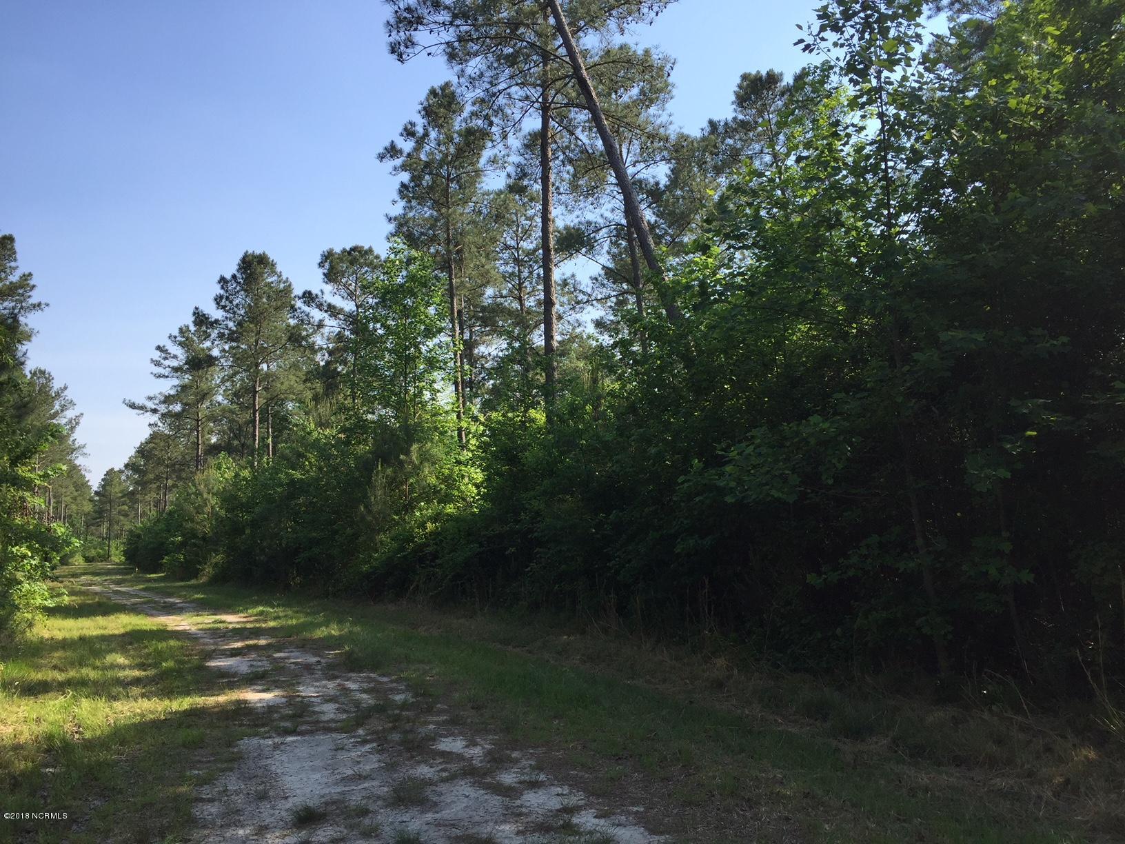 1875 Nash Road Farmville, NC 27828 - Photo 3 of 3 Partially cleared acreage