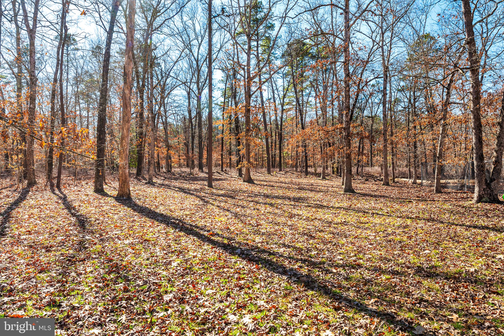 347 Broadlane Road Williamstown, NJ 08094 - Photo 28 of 30