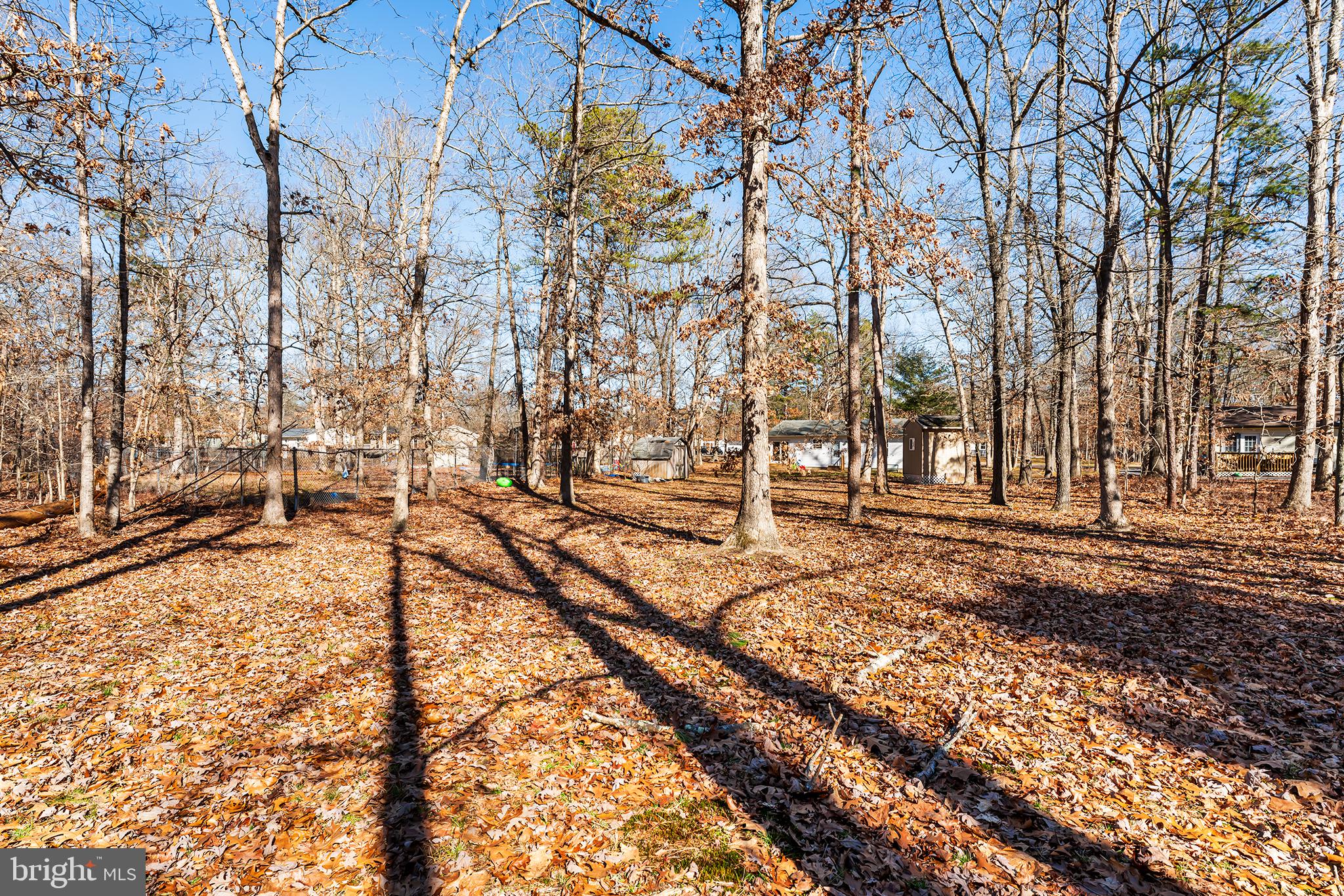 347 Broadlane Road Williamstown, NJ 08094 - Photo 29 of 30