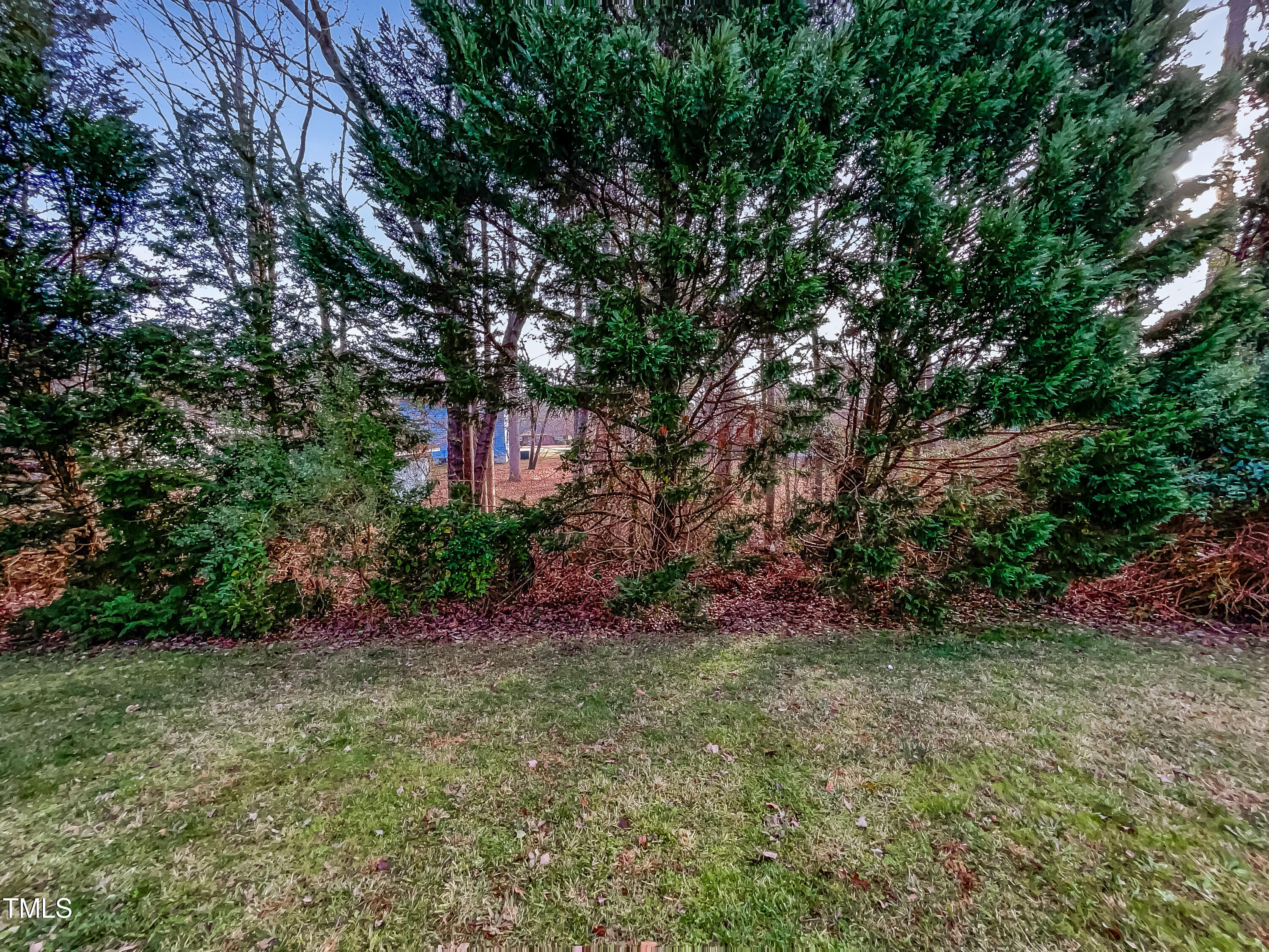 3729 Tryon Ridge Drive Raleigh, NC 27610 - Photo 20 of 21 photo_20
