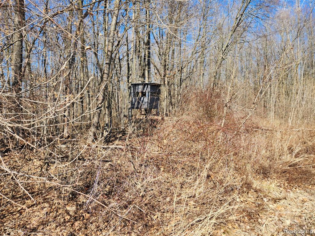 Lot #12 Kunstman Road Ray, MI 48096 - Photo 5 of 15