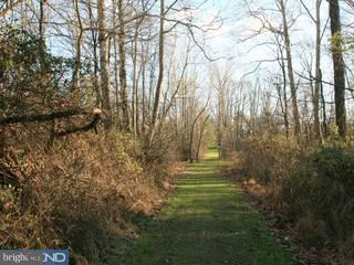 121 Old Philadelphia Road Riegelsville, PA 18077 - Photo 5 of 6