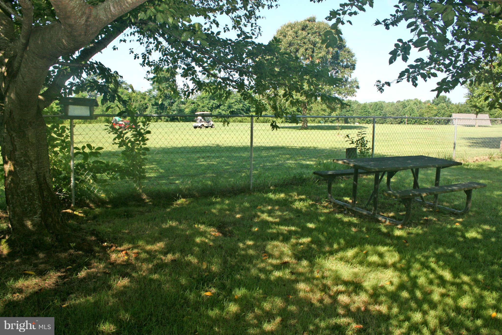 127 Cove Point Road Lusby, MD 20657 - Photo 3 of 27 Mature trees provide cool shade in the rear yard