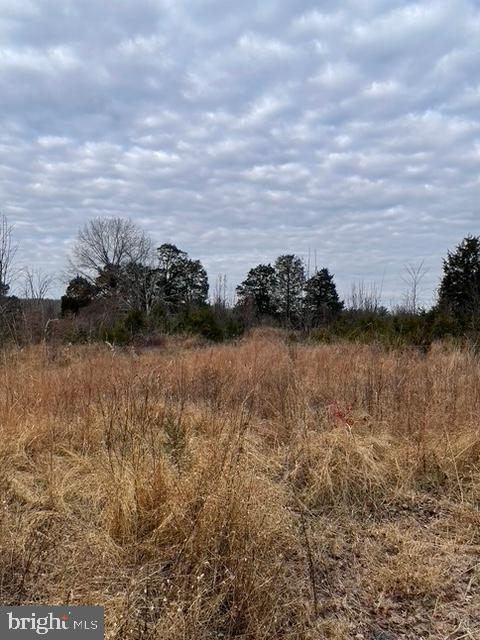 22385 Evergreen Mills Road Leesburg, VA 20175 - Photo 1 of 4 Gorgeous Blue Ridge views