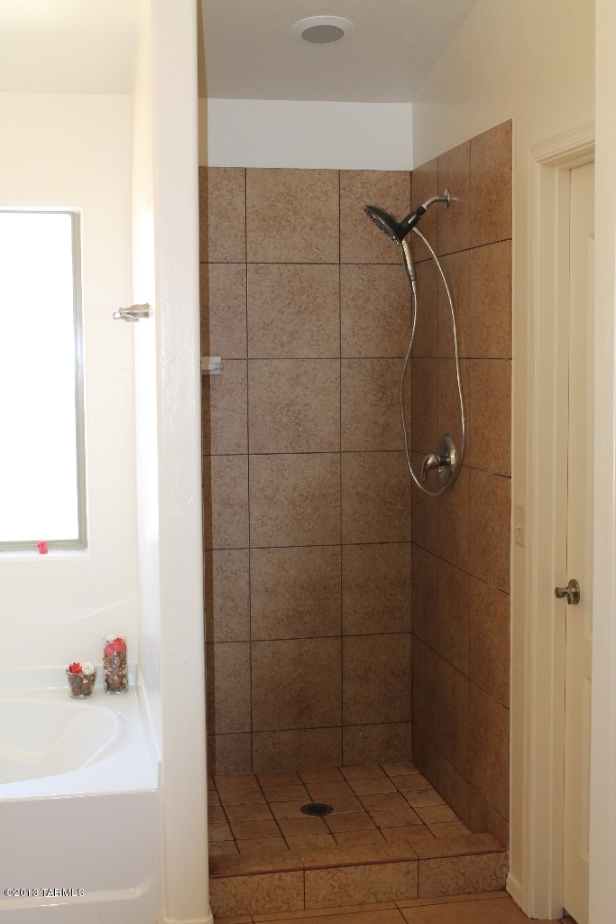 60370 Alpine Way Tucson, AZ 85739 - Photo 9 of 13