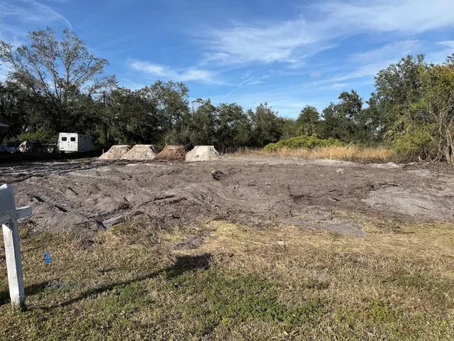 a view of dirt yard with a large tree