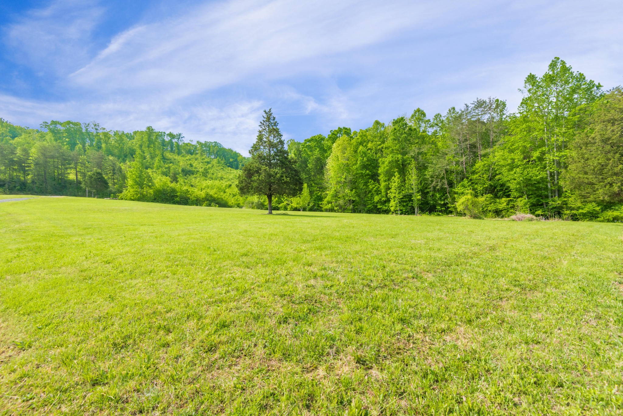 4381 River Road Ten Mile, TN 37880 - Photo 15 of 24 Gallery Image 15