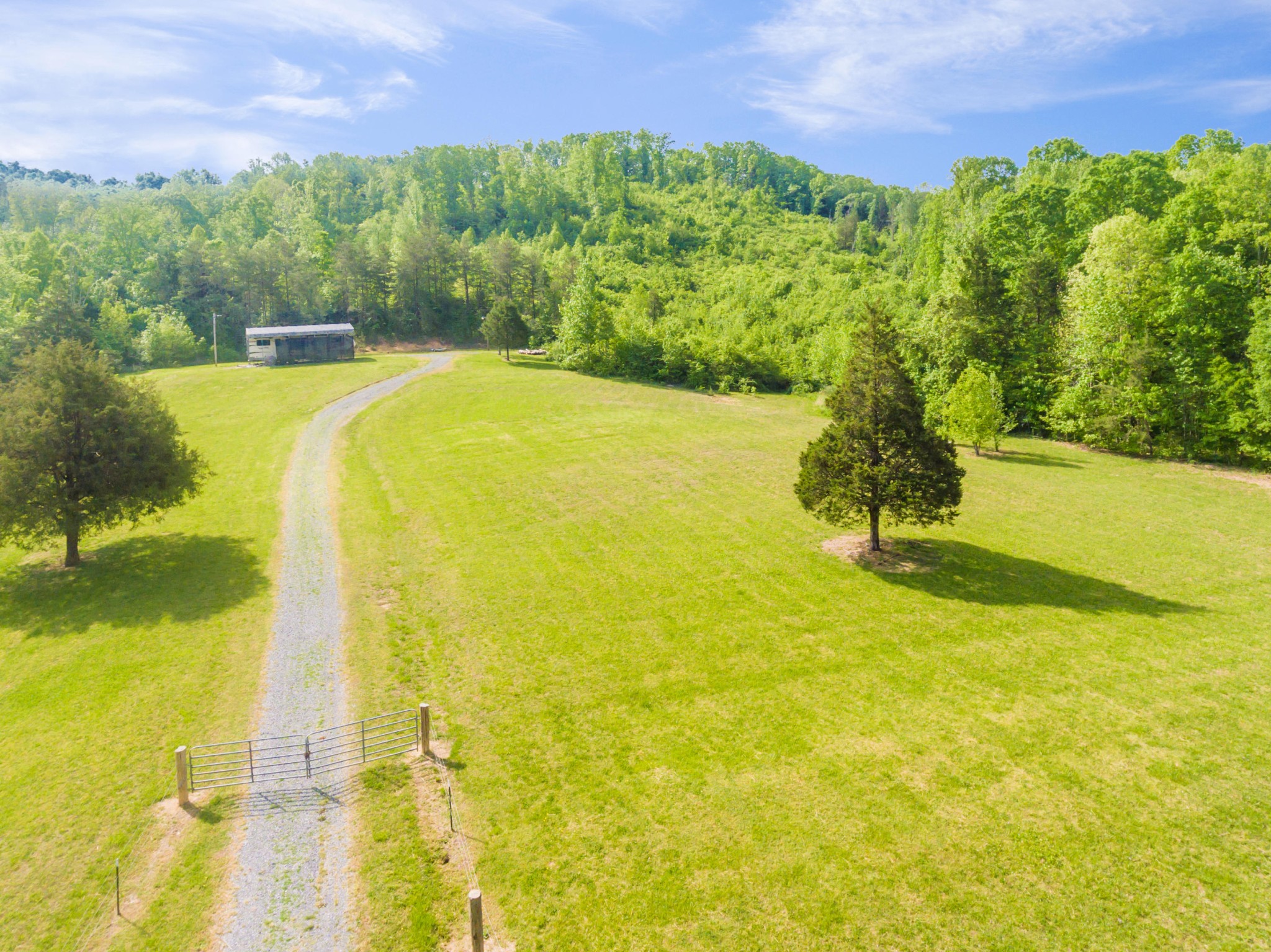 4381 River Road Ten Mile, TN 37880 - Photo 9 of 24 Gallery Image 9