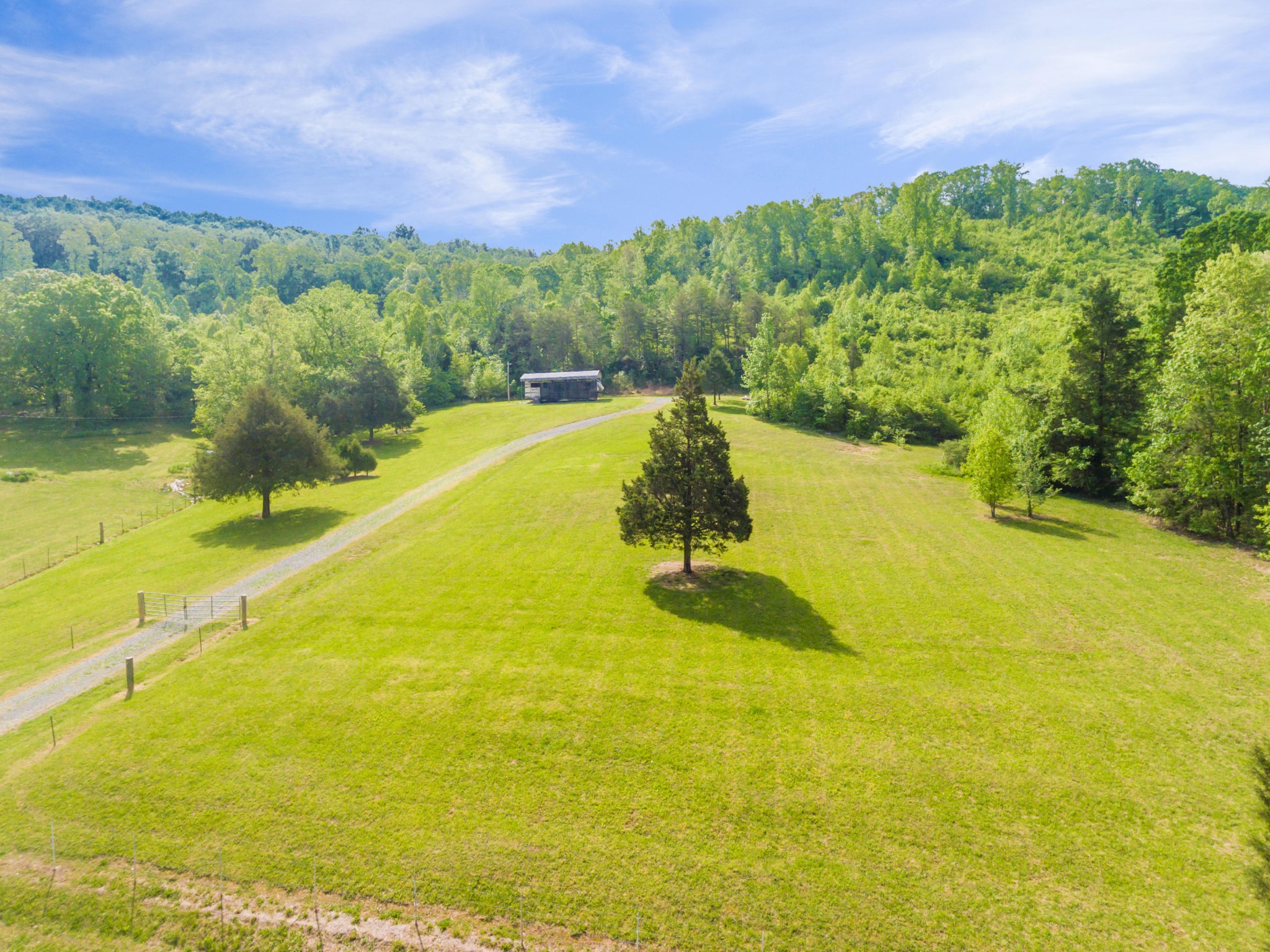 4381 River Road Ten Mile, TN 37880 - Photo 10 of 24 Gallery Image 10