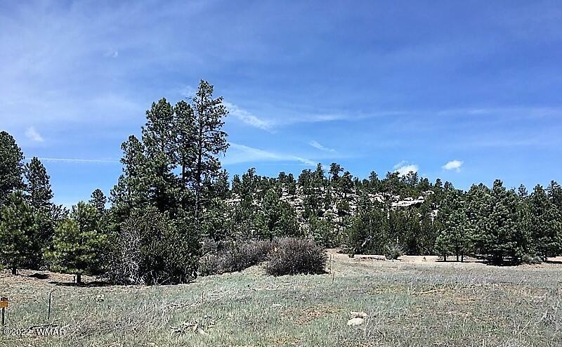 Tbd Black Canyon Road Heber, AZ 85928 - Photo 11 of 14