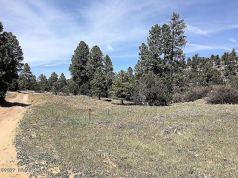 Tbd Black Canyon Road Heber, AZ 85928 - Photo 12 of 14