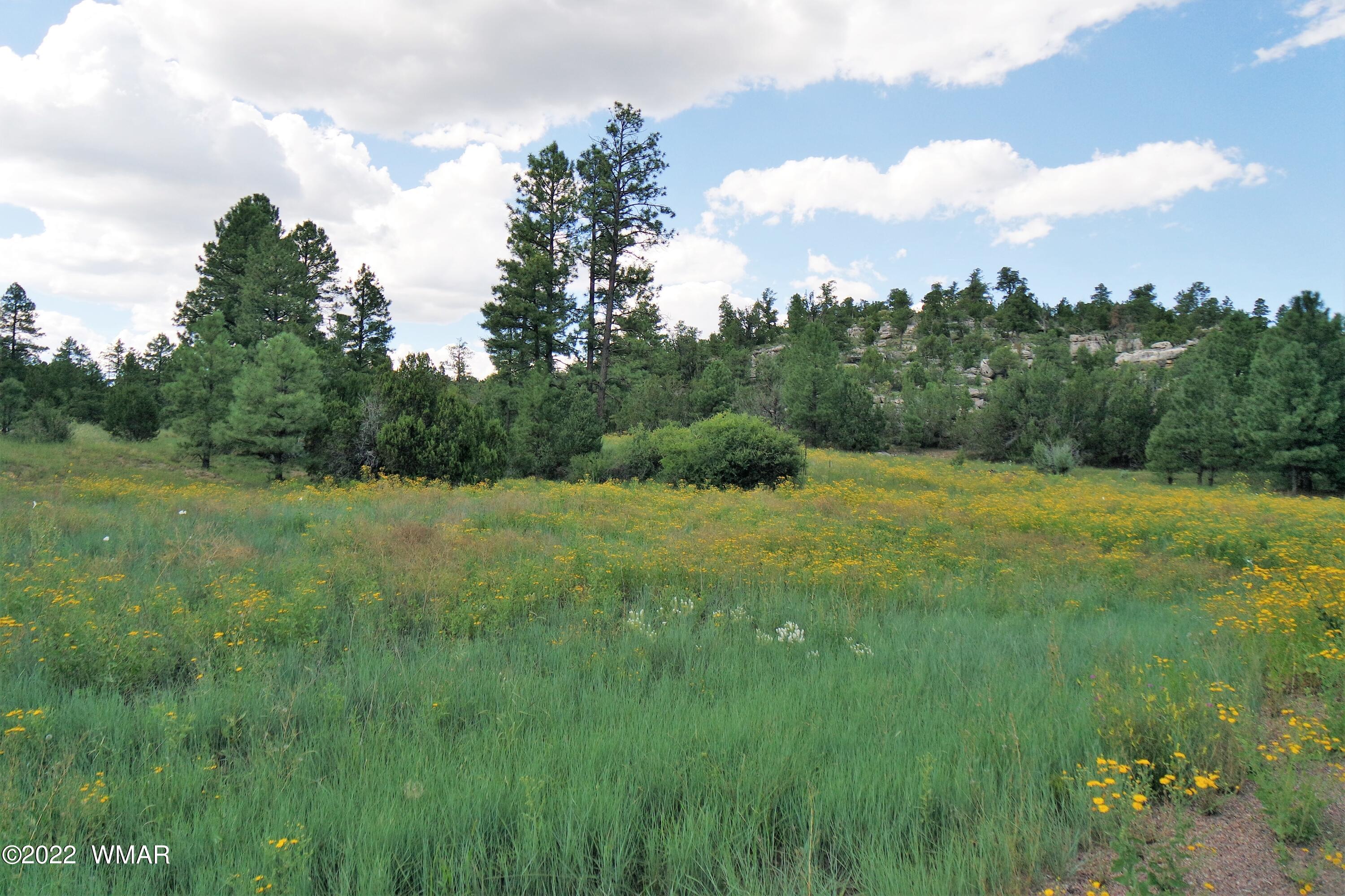 Tbd Black Canyon Road Heber, AZ 85928 - Photo 13 of 14